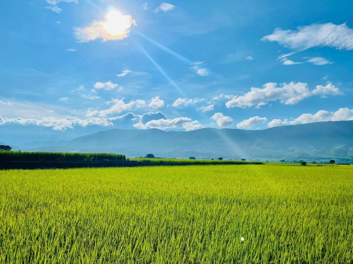 關山稻香田園民宿 海端郷 エクステリア 写真